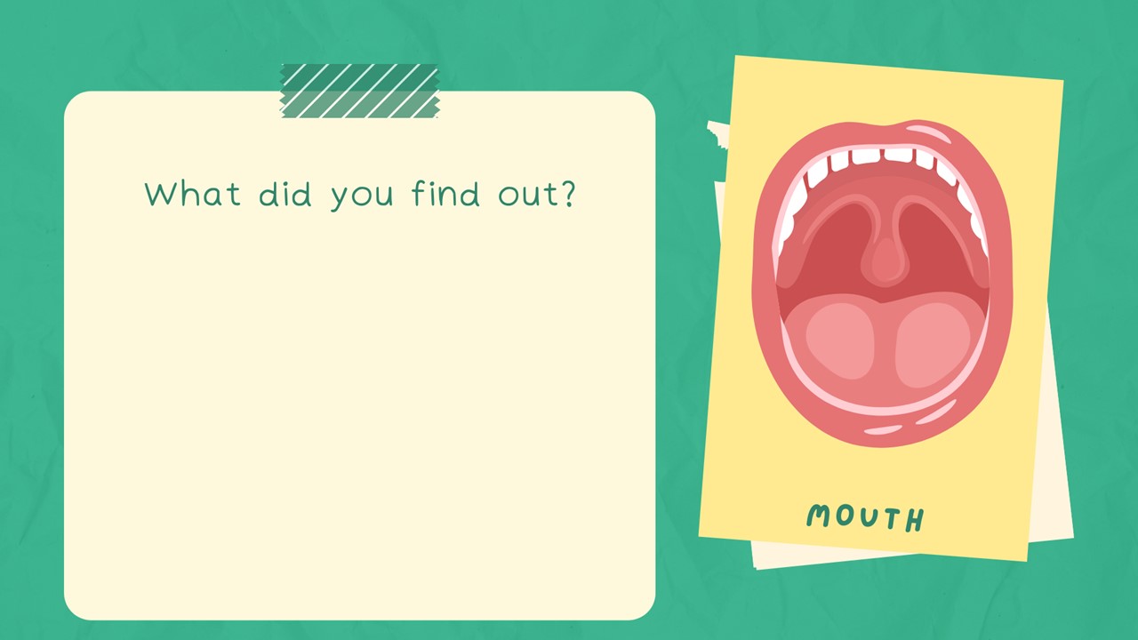 Slide3