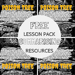 Free Summarising Worksheets KS2